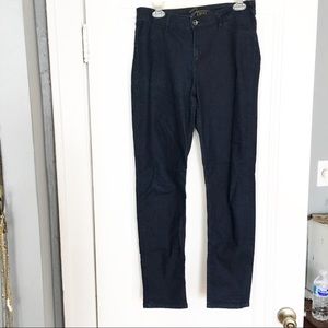 Desi Maggie Dark-wash Skinny Jeans